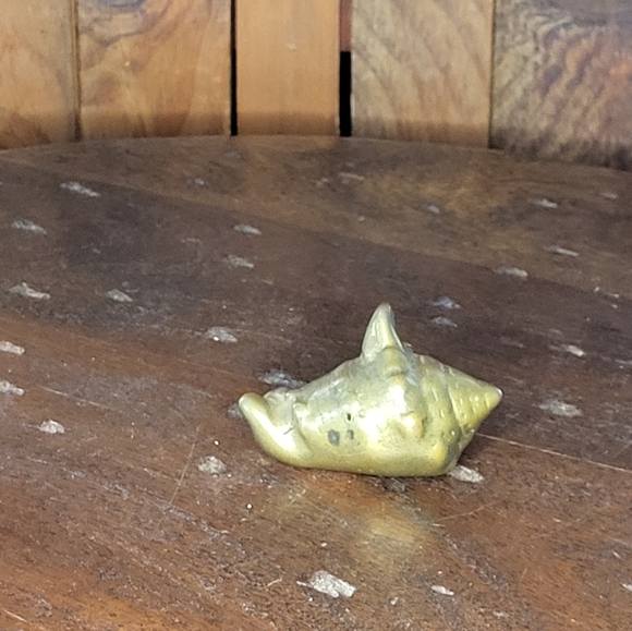 Brass Sea Shell - Picture 8 of 14